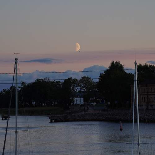 Photo #12547316