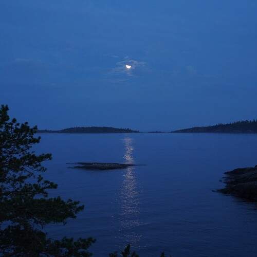 Photo #12547321