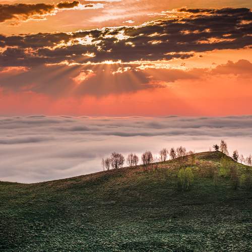 Фотография #12547357