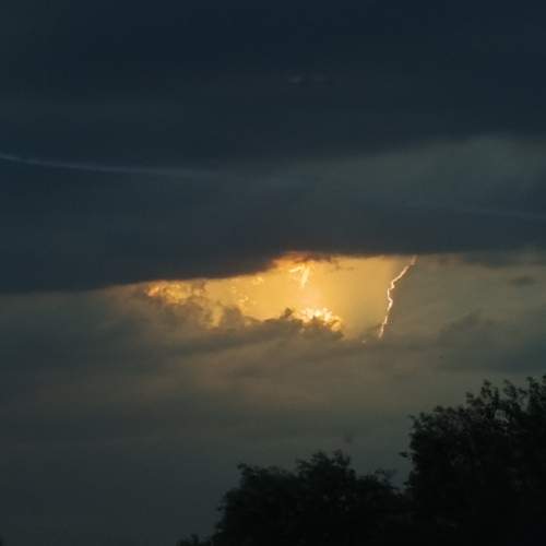 Photo #12547366