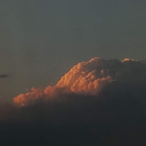 Photo #12547372