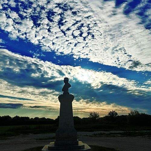 Photo #12547463