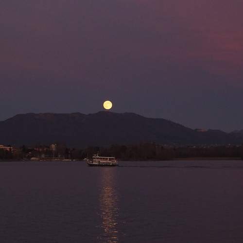 Photo #12547474