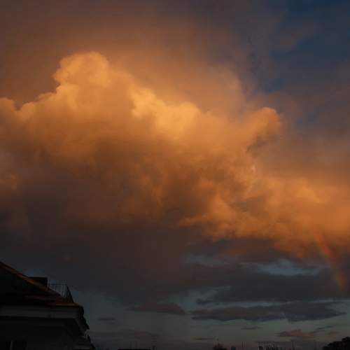 Photo #12547555