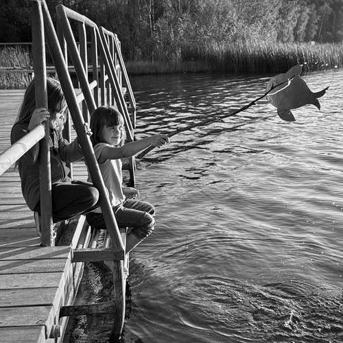 Photo #12547563
