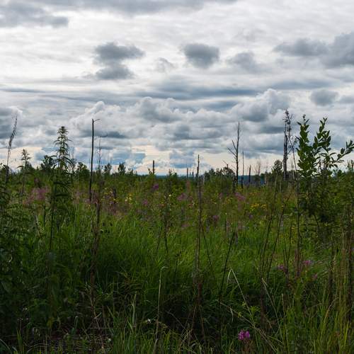 Photo #12547868