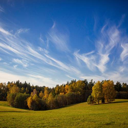 Photo #12547916