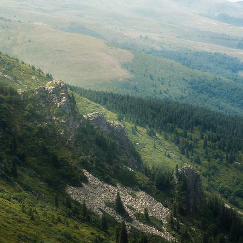 Photo #12547941