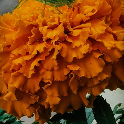 Photo #12547996