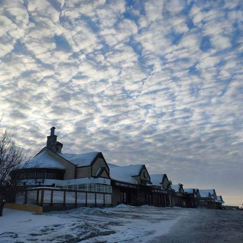 Photo #12548018