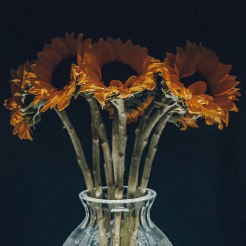 Photo #12548225
