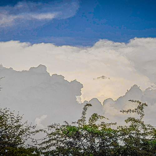 Photo #12548229