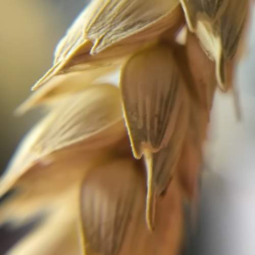 Photo #12548364