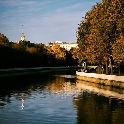 Photo #12548433