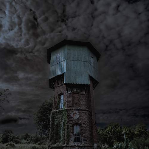 Photo #12548650