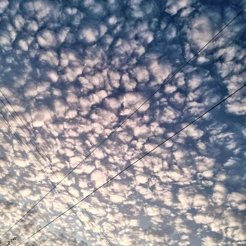 Photo #12548657