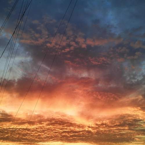 Photo #12548663