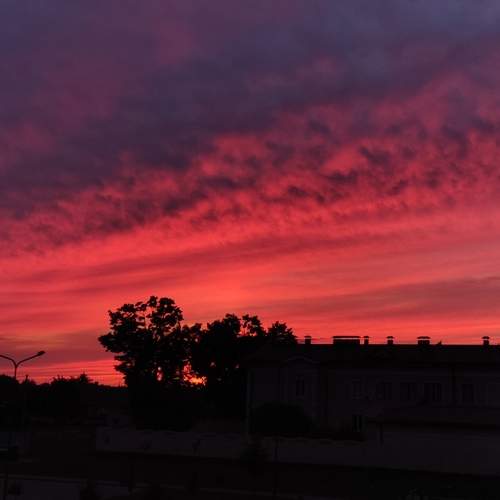 Photo #12548701