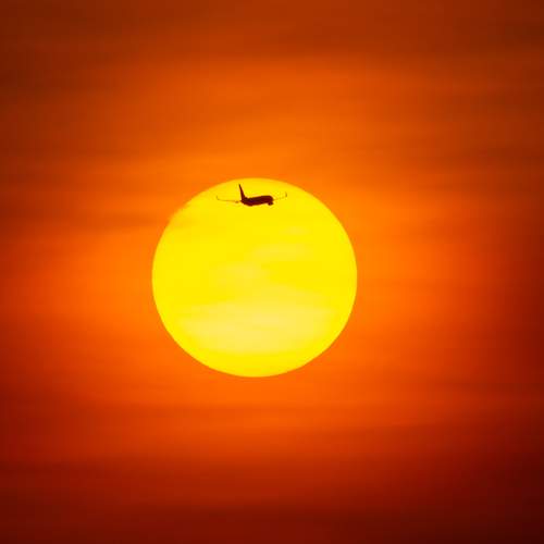 Photo #12548714