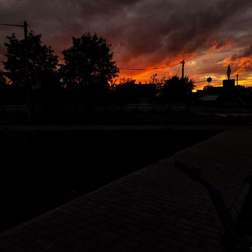 Photo #12548716