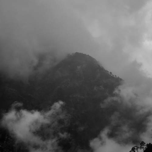 Photo #12548764