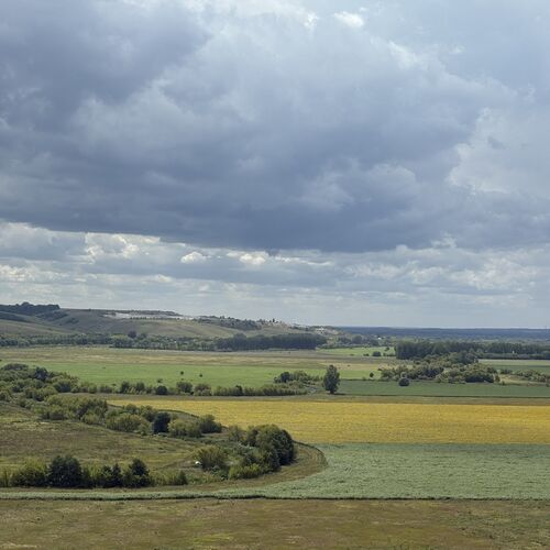 Photo #12548807