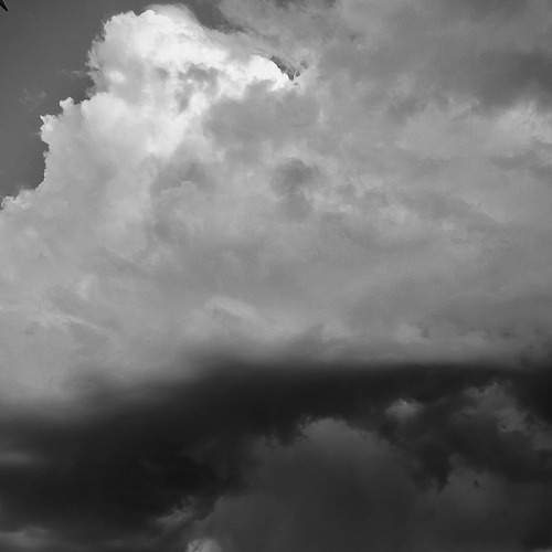 Photo #12548905