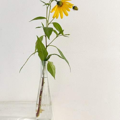 Photo #12548925