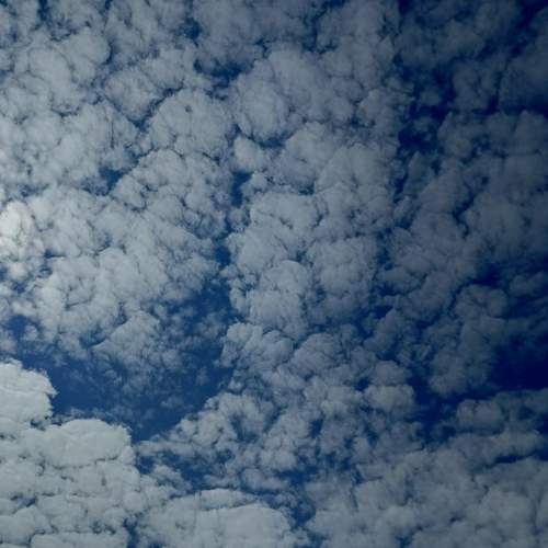 Photo #12548980