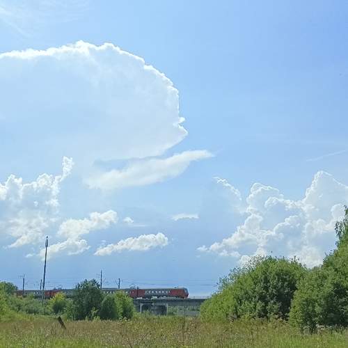 Photo #12548981