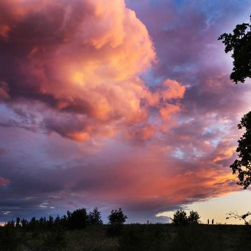 Photo #12549005