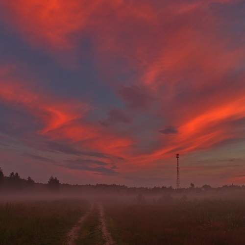 Photo #12549065