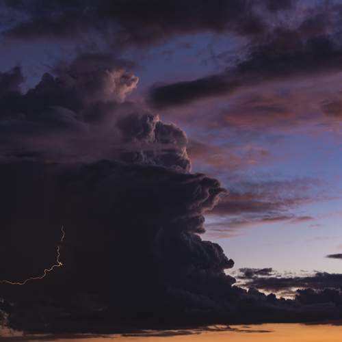 Photo #12549127