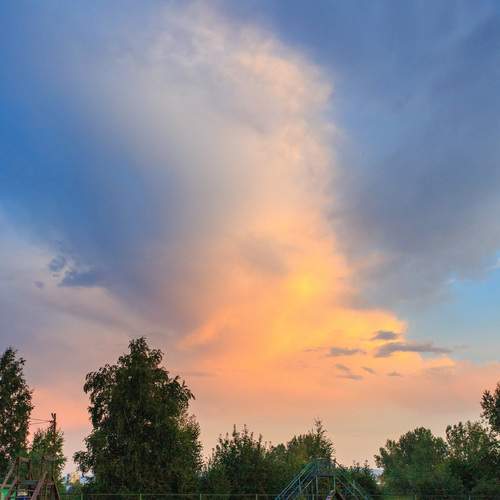 Photo #12549236