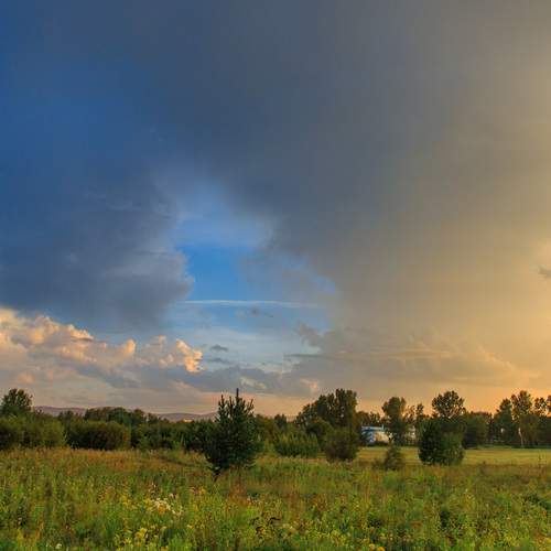 Photo #12549237