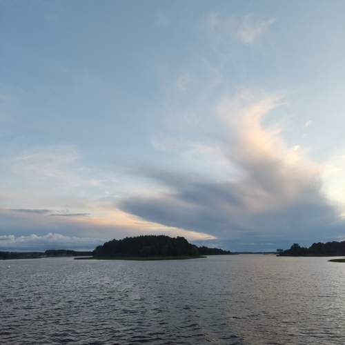 Photo #12549494