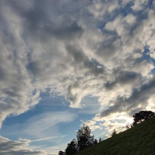 Photo #12549495