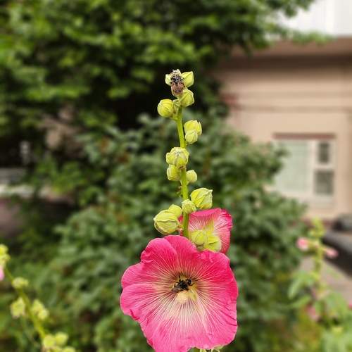 Photo #12549502