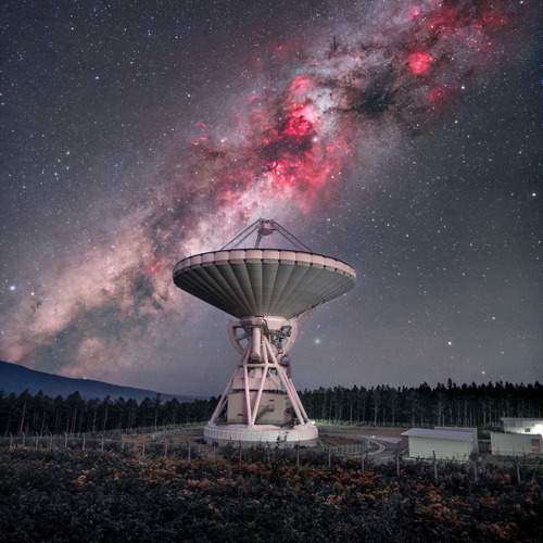 Фотография #12549509