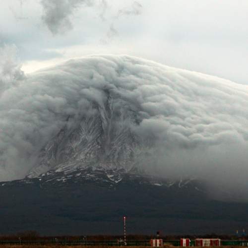 Photo #12549742