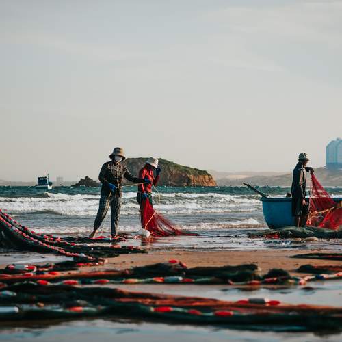 The Fisher’s Dance – Mũi Né