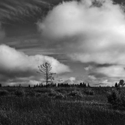 Photo #12549754