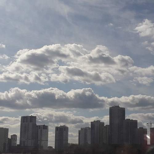 Photo #12549801