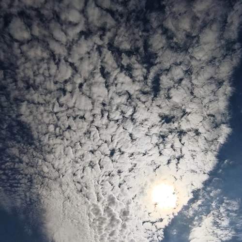 Photo #12549824