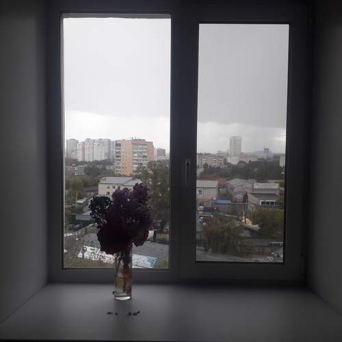 Photo #12549836