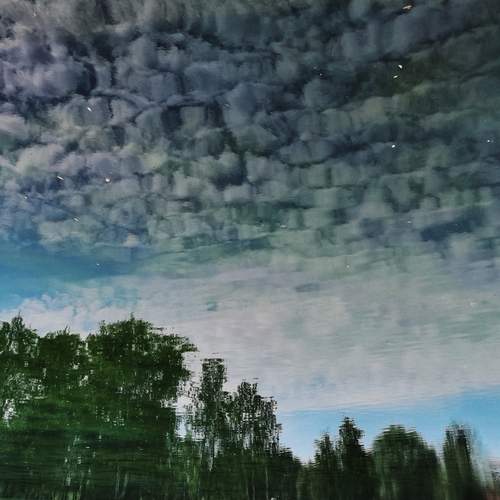 Фотография #12549947