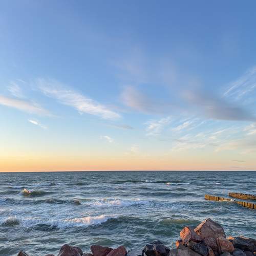 Photo #12550005