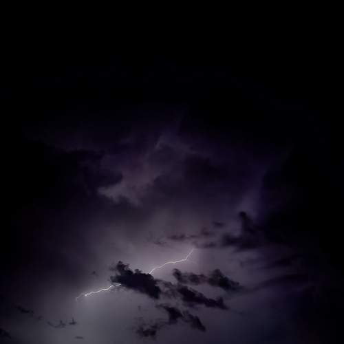 Photo #12550007