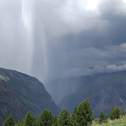 Photo #12550217