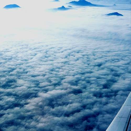 Photo #12550348